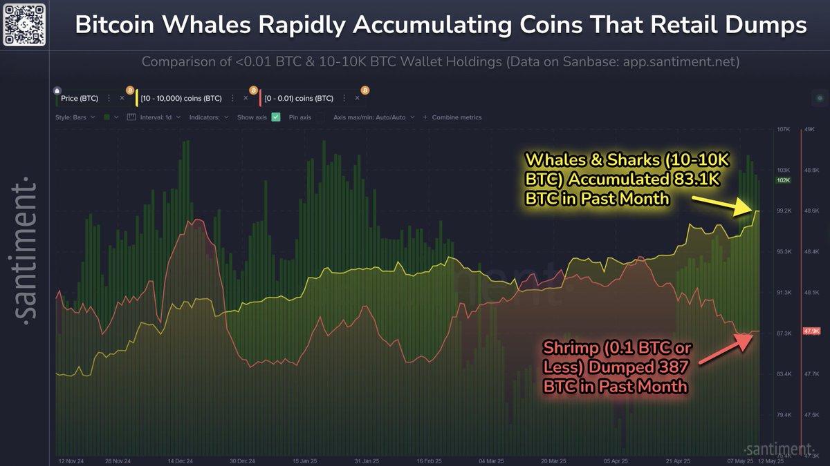 Bitcoin illiquid supply hits record 14.3M BTC as big investors accumulate