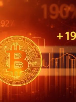 BTC 2 Bitcoin as a Hedge for the Future