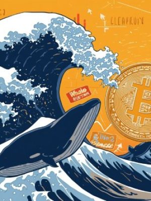 The Whale Factor in Bitcoin’s Price