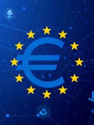 Investor and User Takeaways