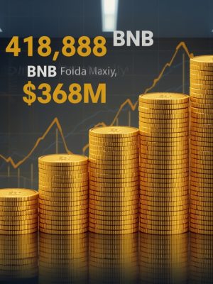 Why the World’s Largest BNB Treasury Matters Why the World’s Largest BNB Treasury Matters