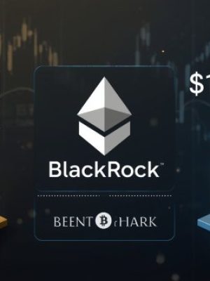 What It Means for Investors